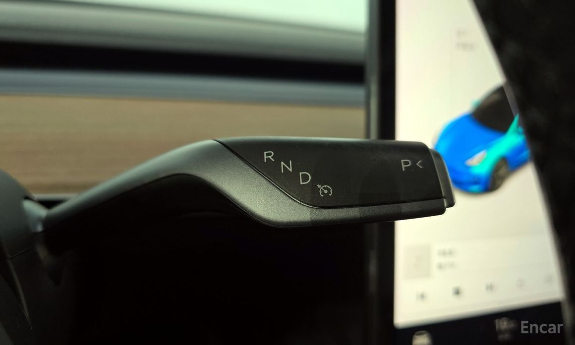 Model 3 Long Range 10