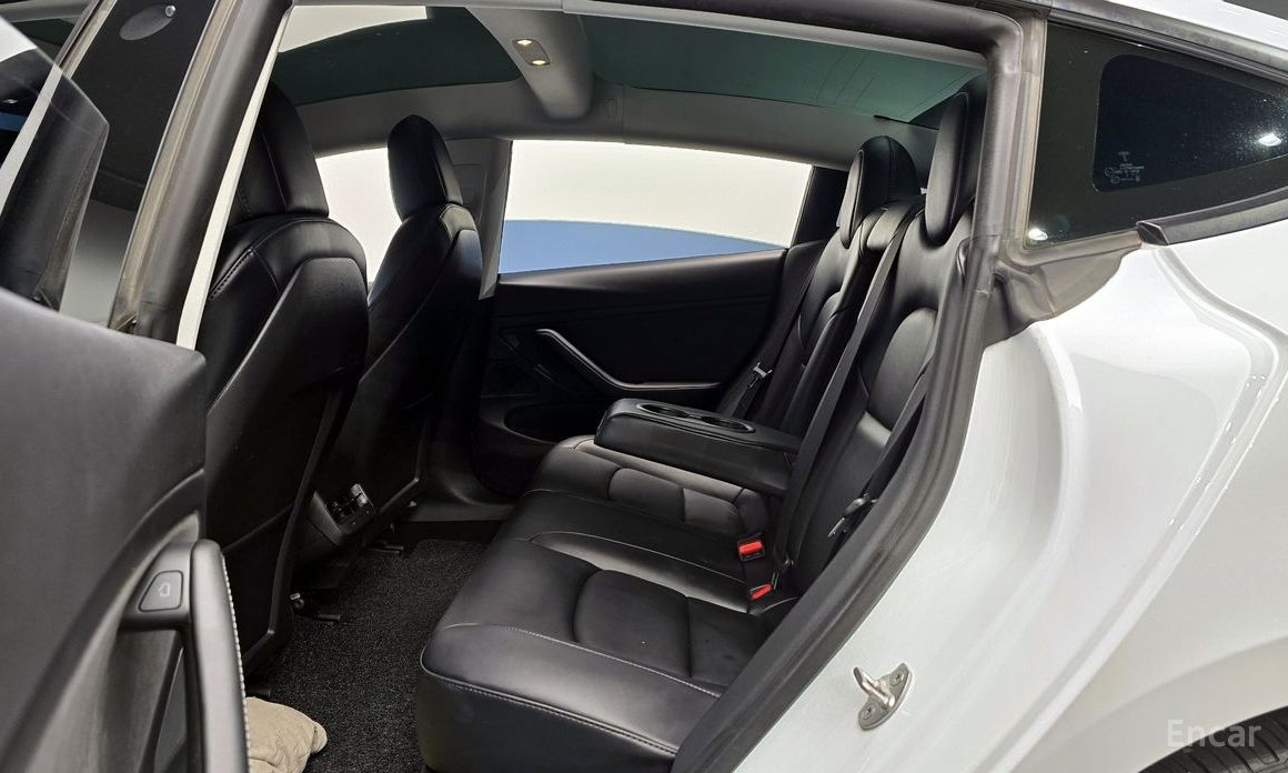 Model 3 Long Range 13