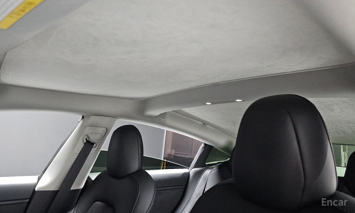 Model 3 Long Range 20