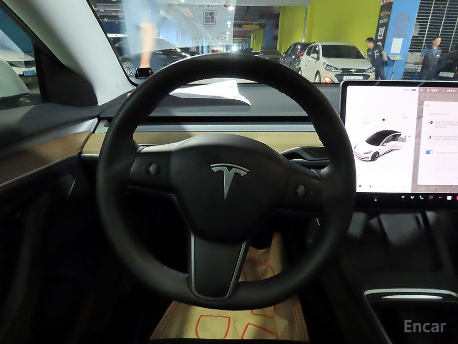 Model 3 Long Range 10