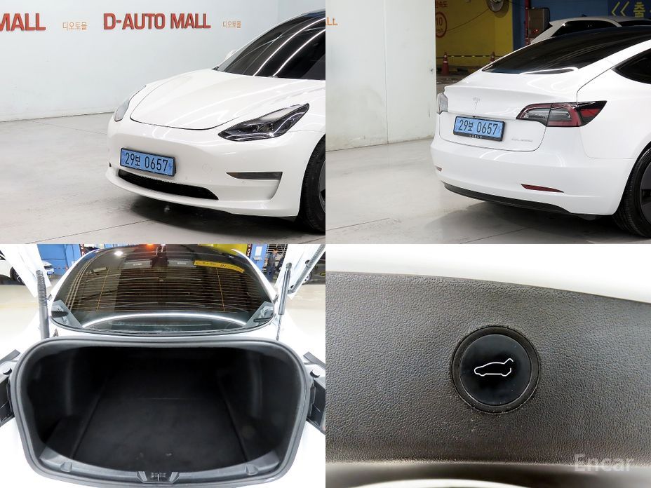 Model 3 Long Range 19