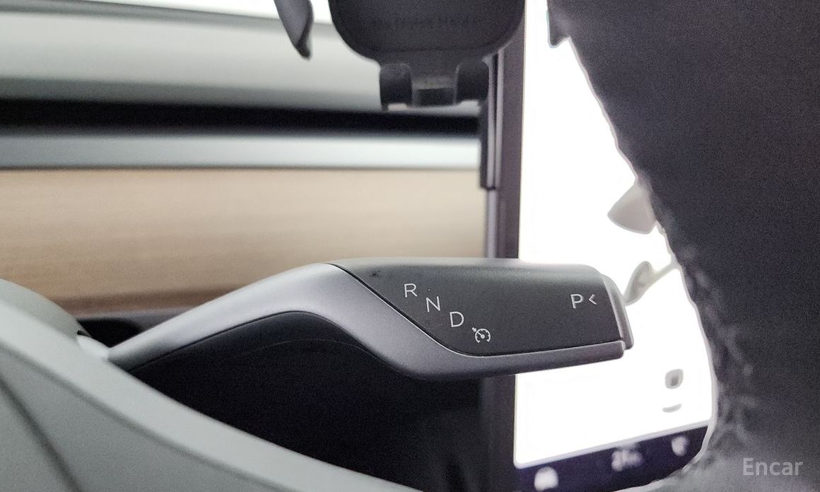 Model 3 Long Range 10
