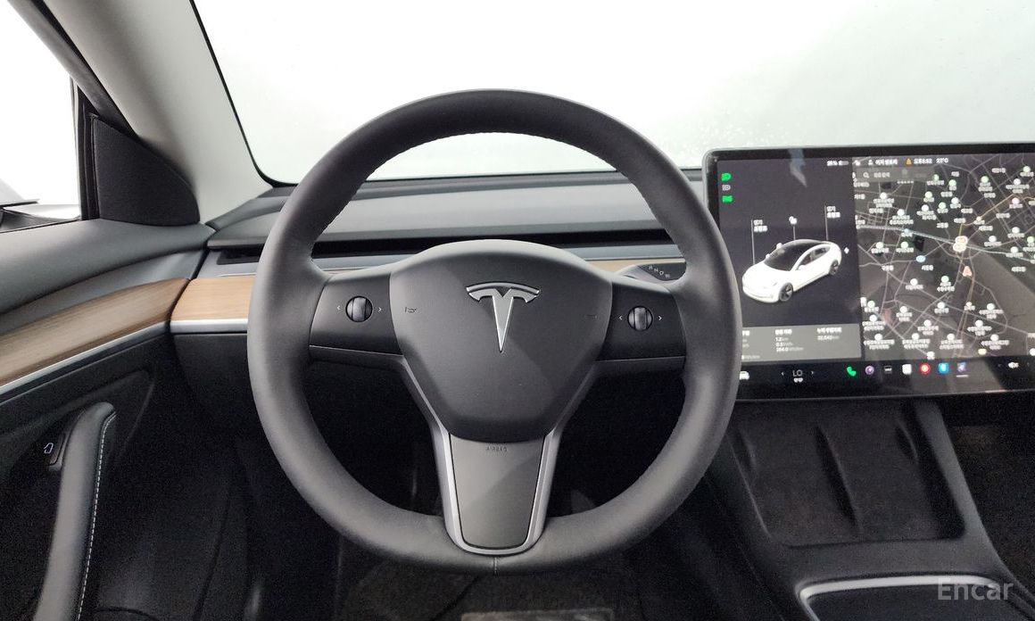 Model 3 Long Range 14