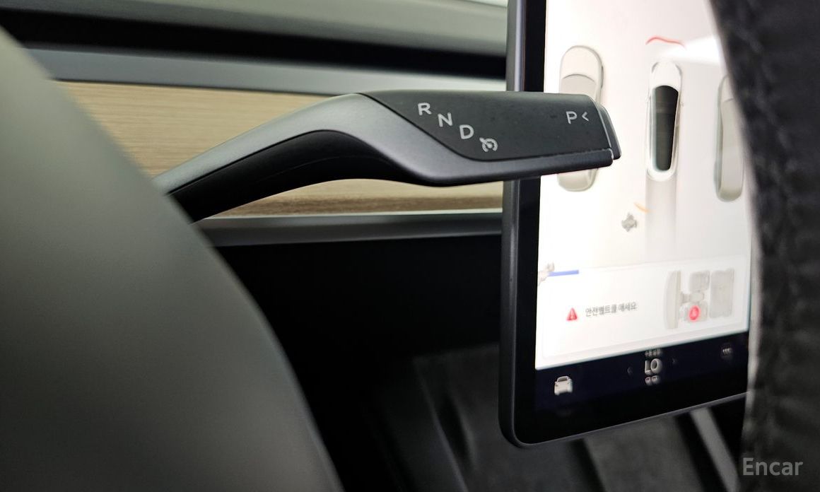 Model 3 Long Range 10