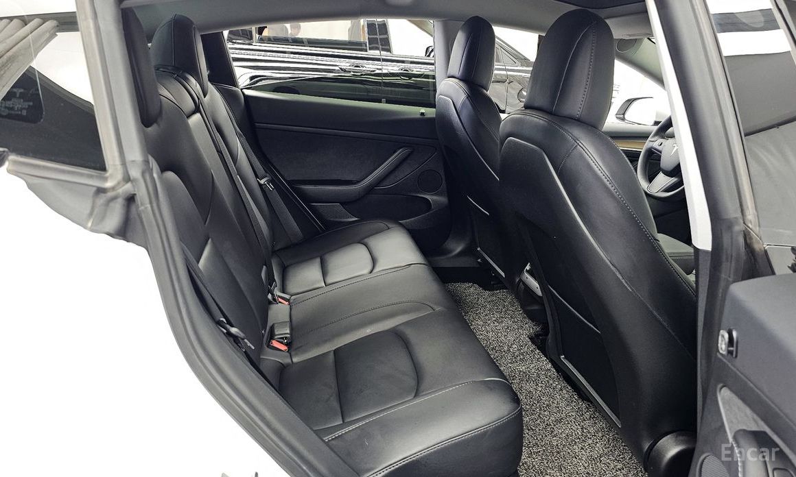 Model 3 Long Range 13