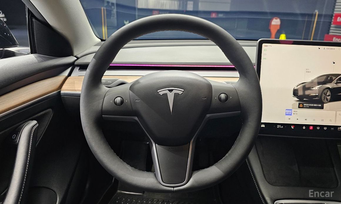 Model 3 Long Range 14