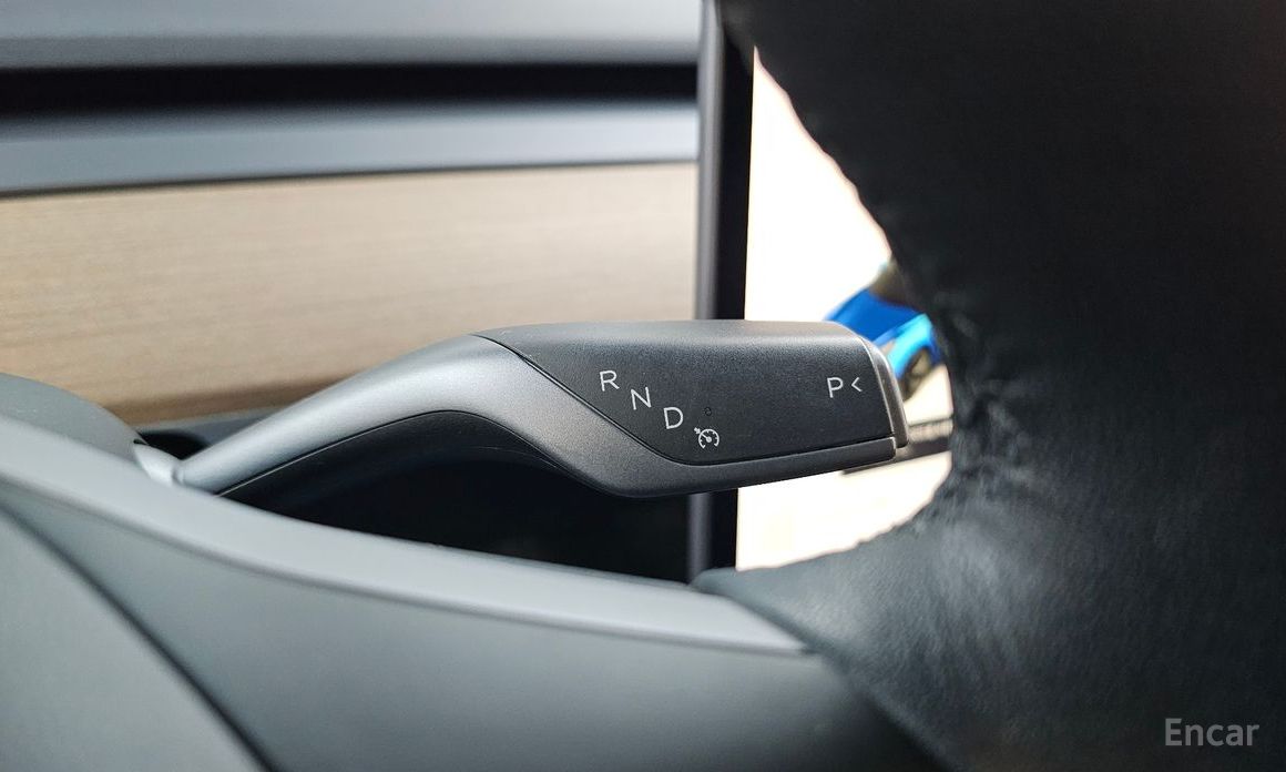 Model 3 Long Range 10