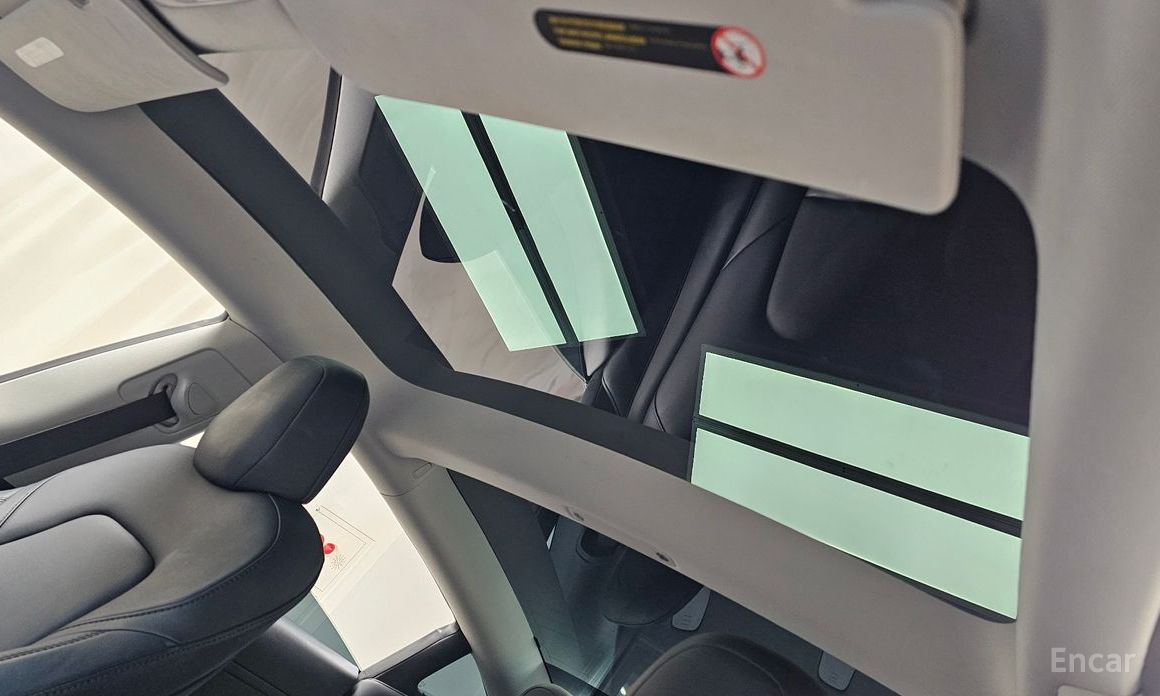 Model 3 Long Range 20