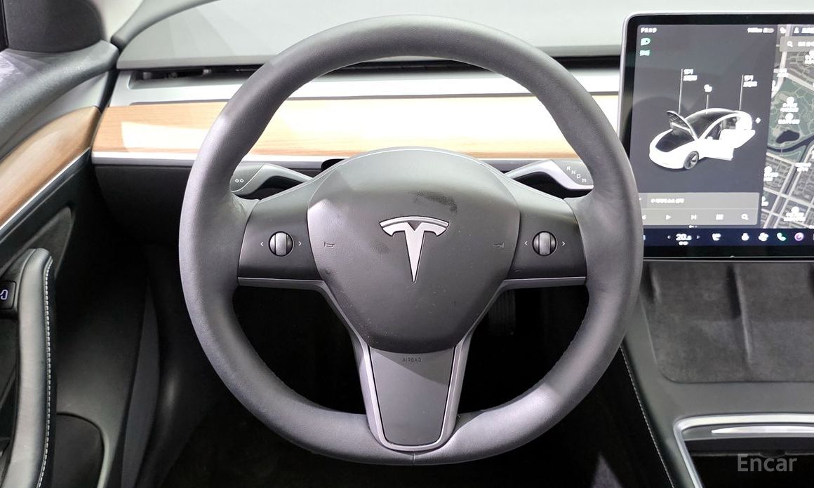 Model 3 Long Range 14