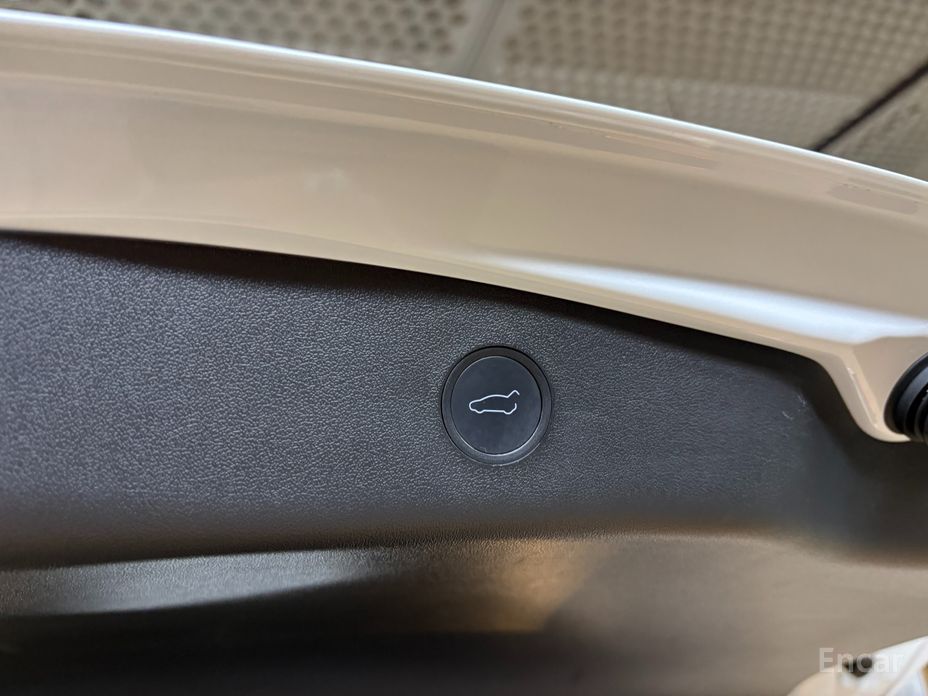 Model 3 Long Range 20