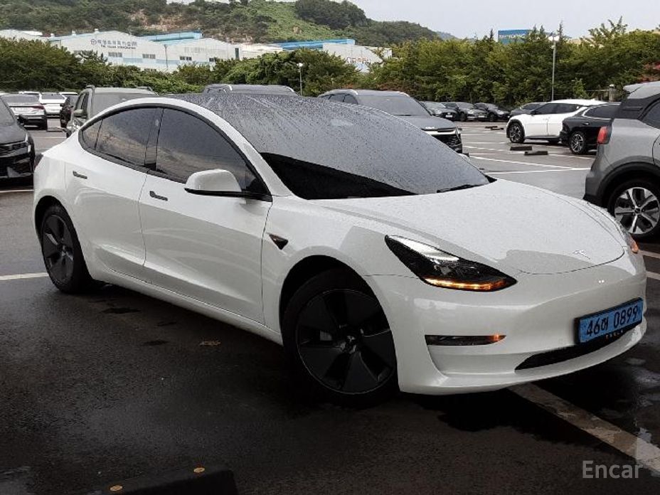 Model 3 Long Range 19