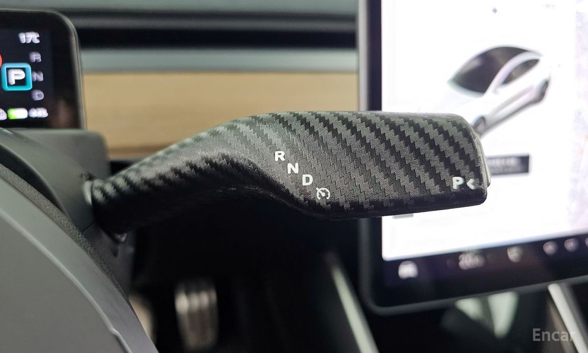Model 3 Long Range 10