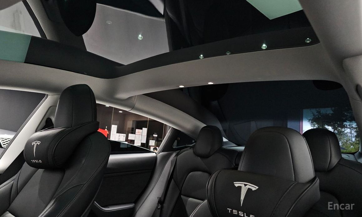 Model 3 Long Range 20