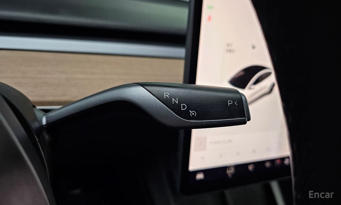 Model 3 Long Range 10