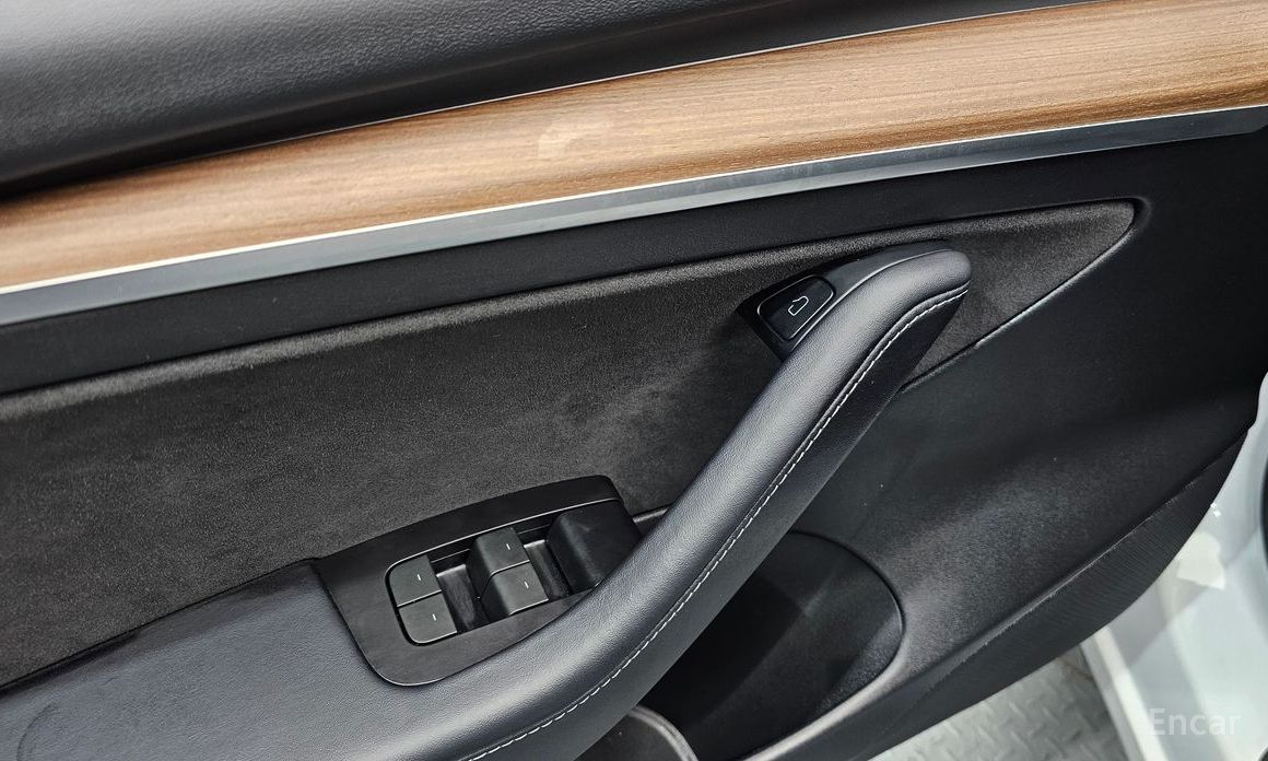 Model 3 Long Range 19
