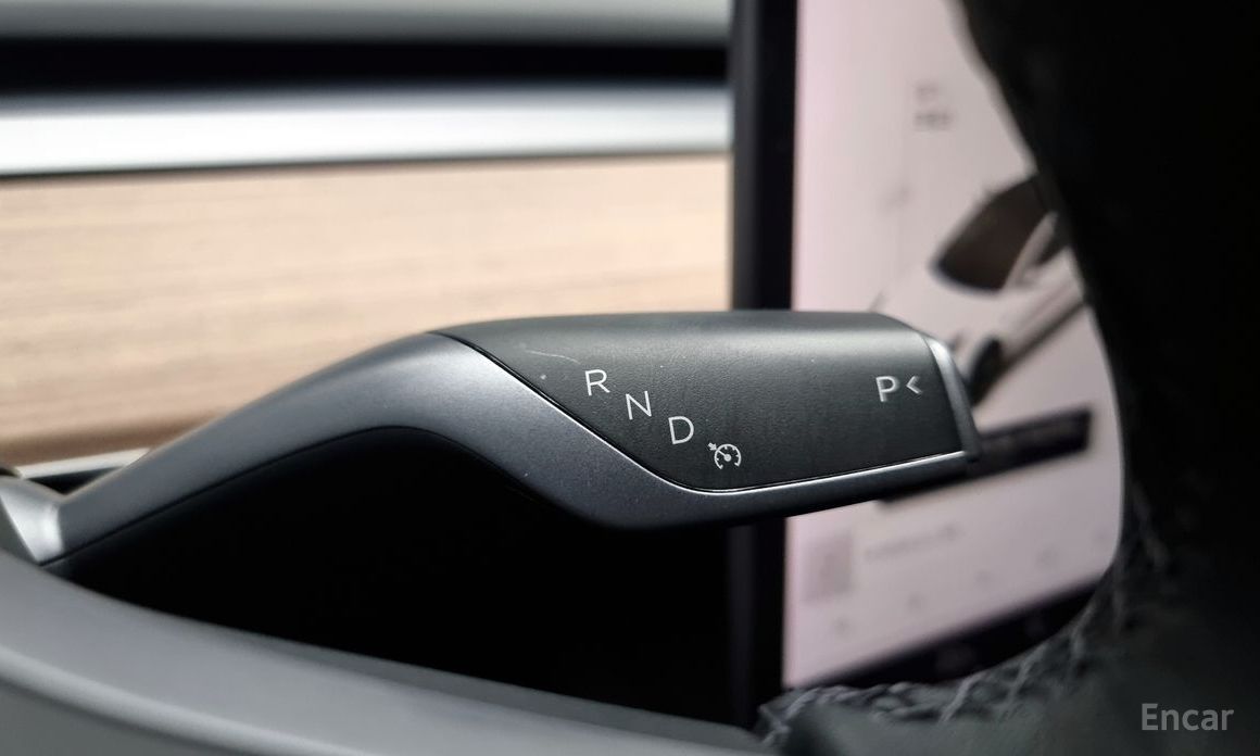Model 3 Long Range 10