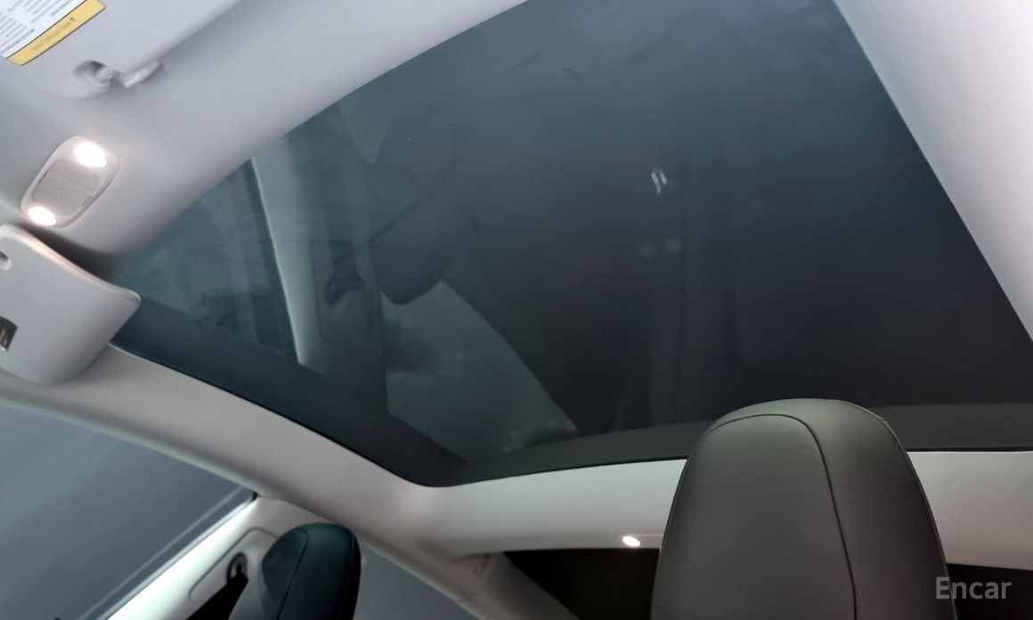 Model 3 Long Range 20