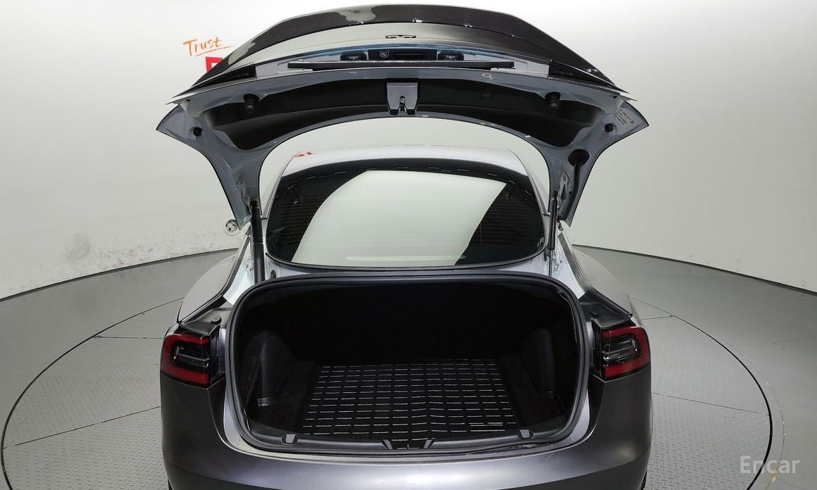 Tesla Model 3 Performance №21
