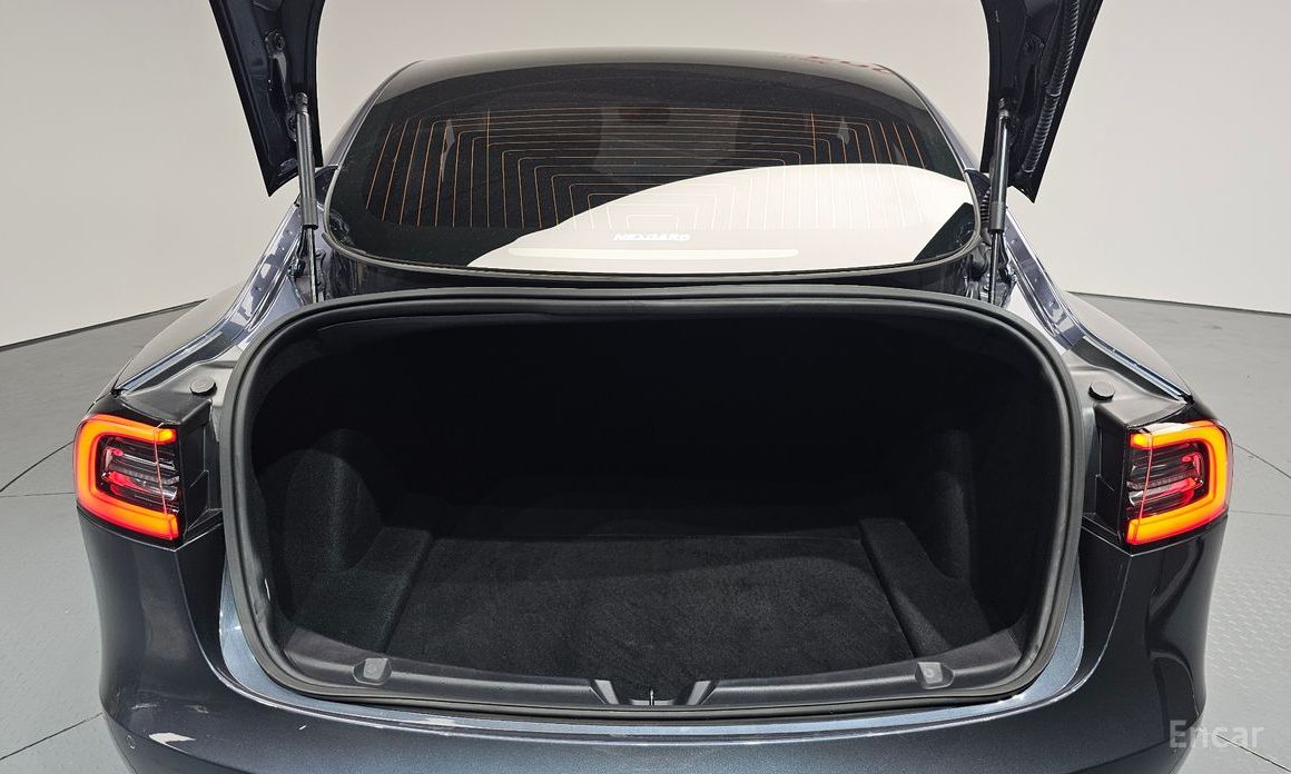 Model 3 Standard Range Plus 21