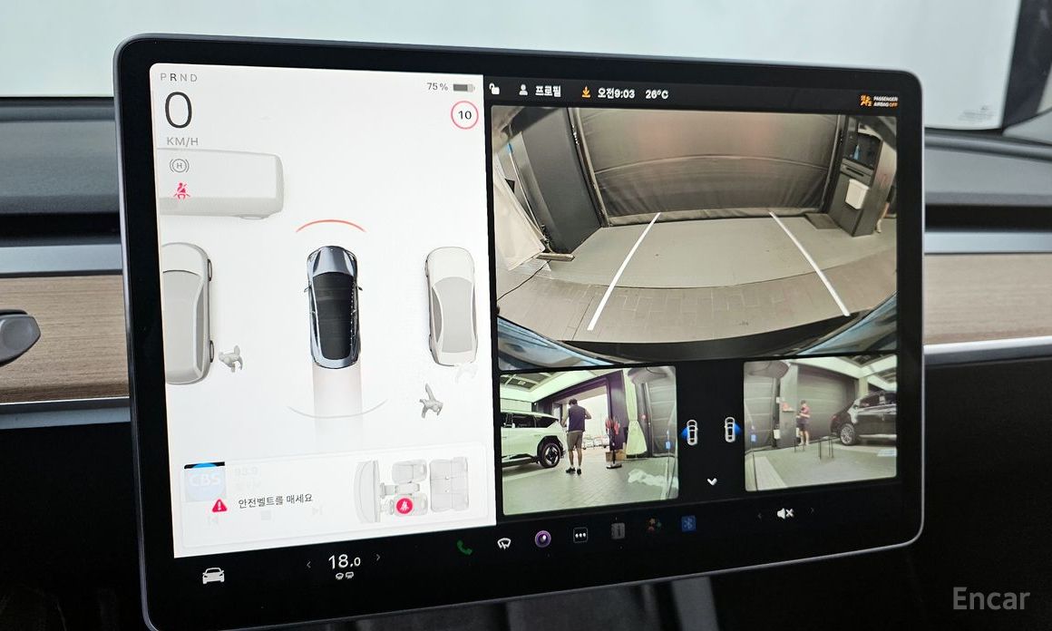 Model 3 long range 16