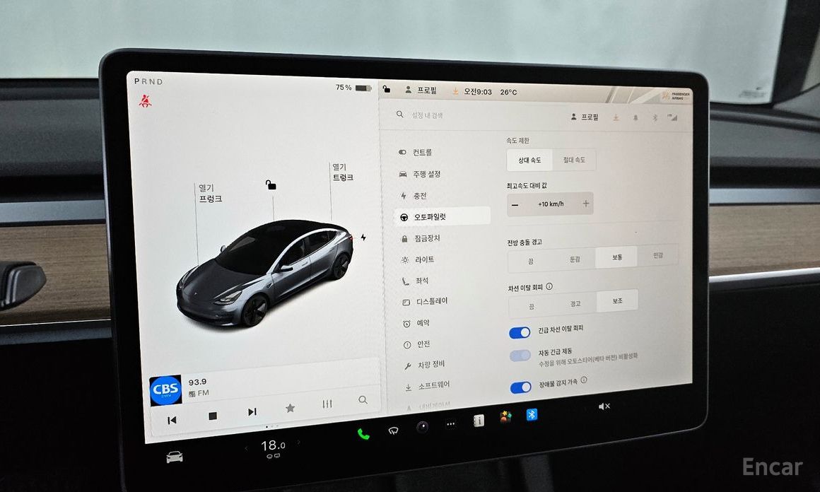 Model 3 long range 17