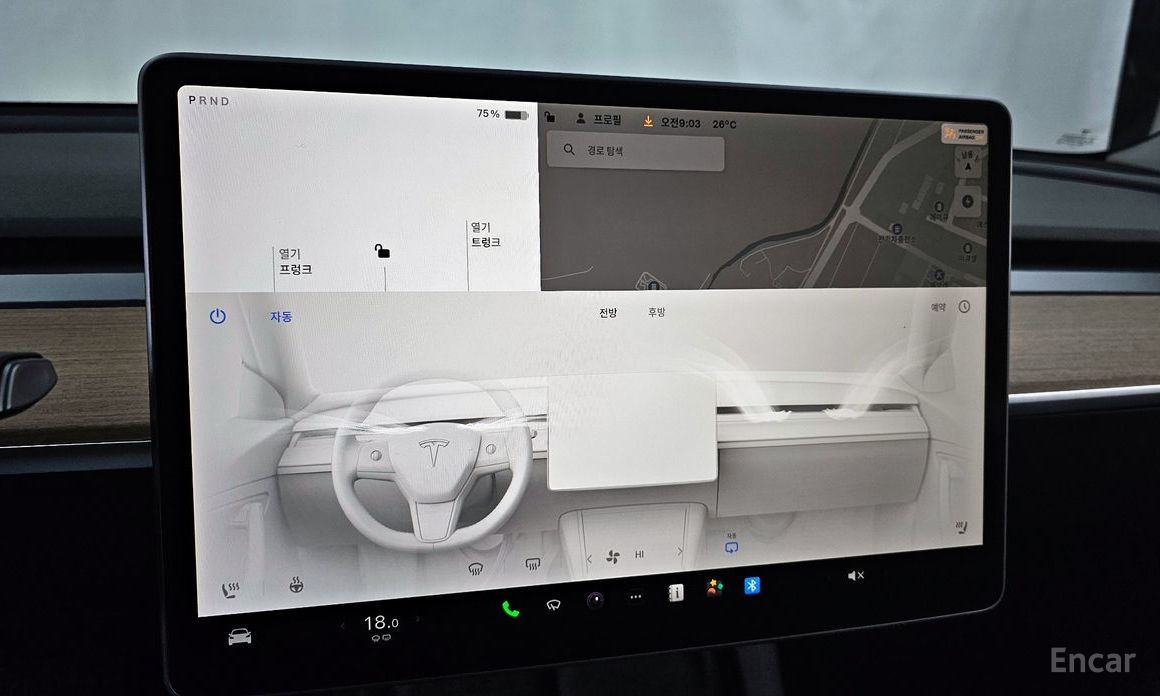Model 3 long range 19