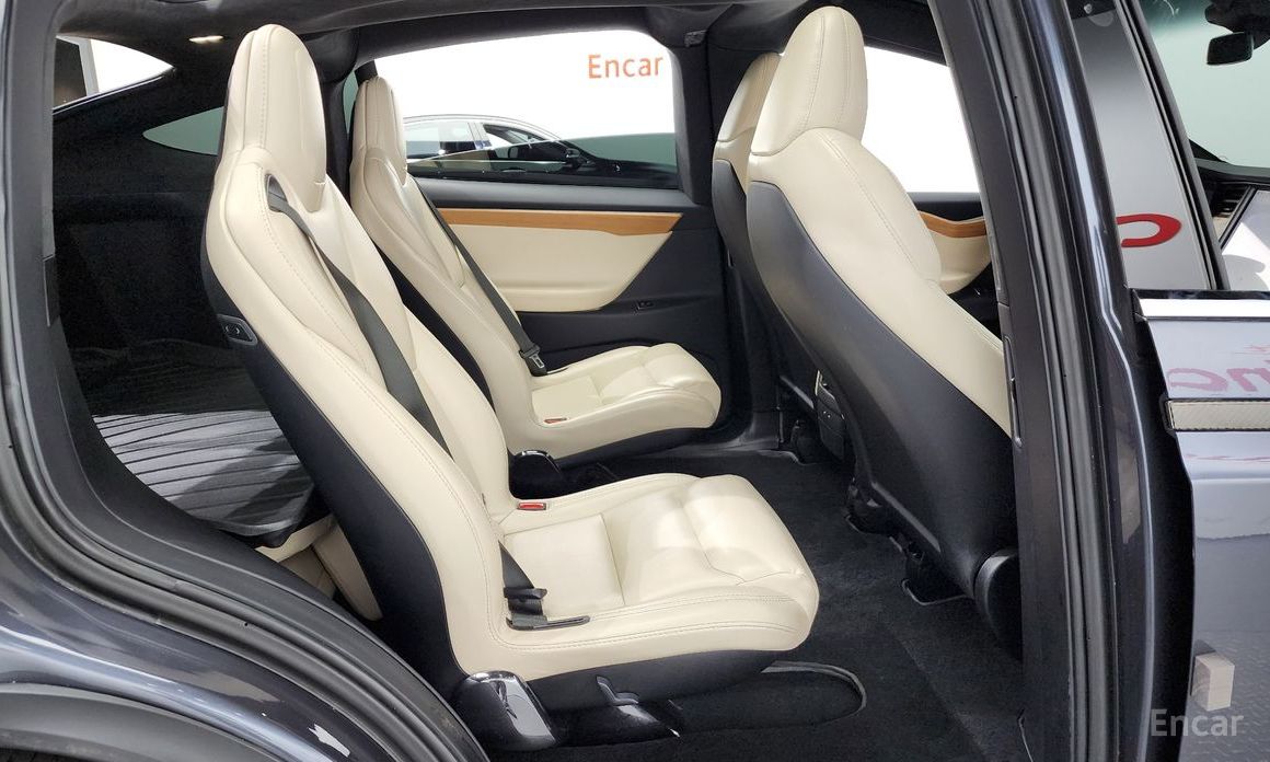 Model X Long Range 13