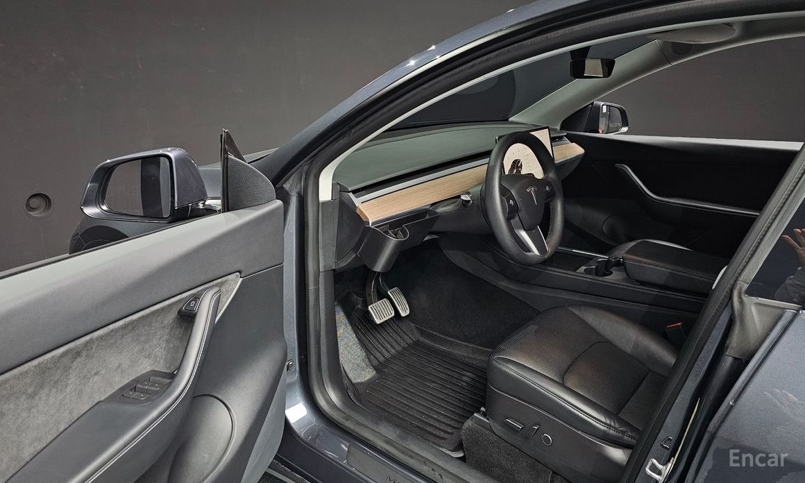 Model Y Long Range 12