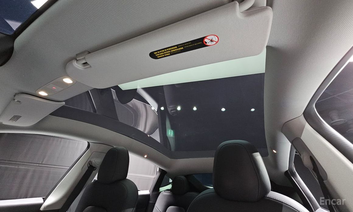 Model Y Long Range 20