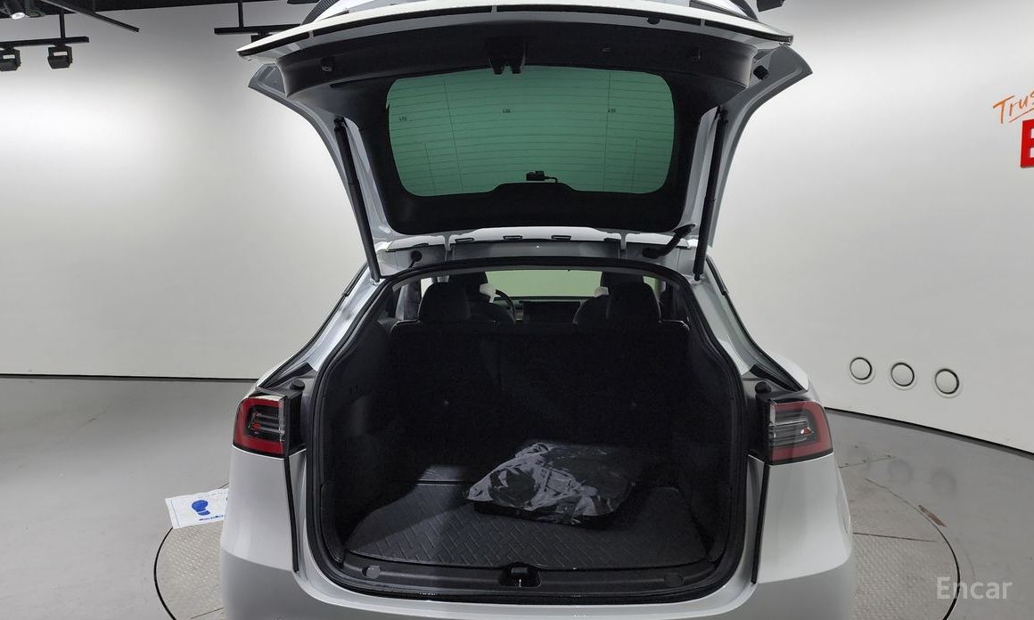 Tesla Model Y Long Range №21