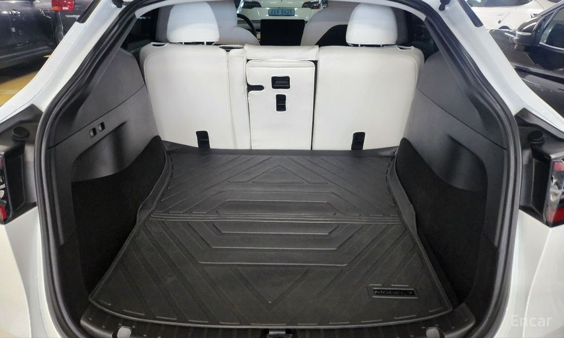 Tesla Model Y Long Range №21