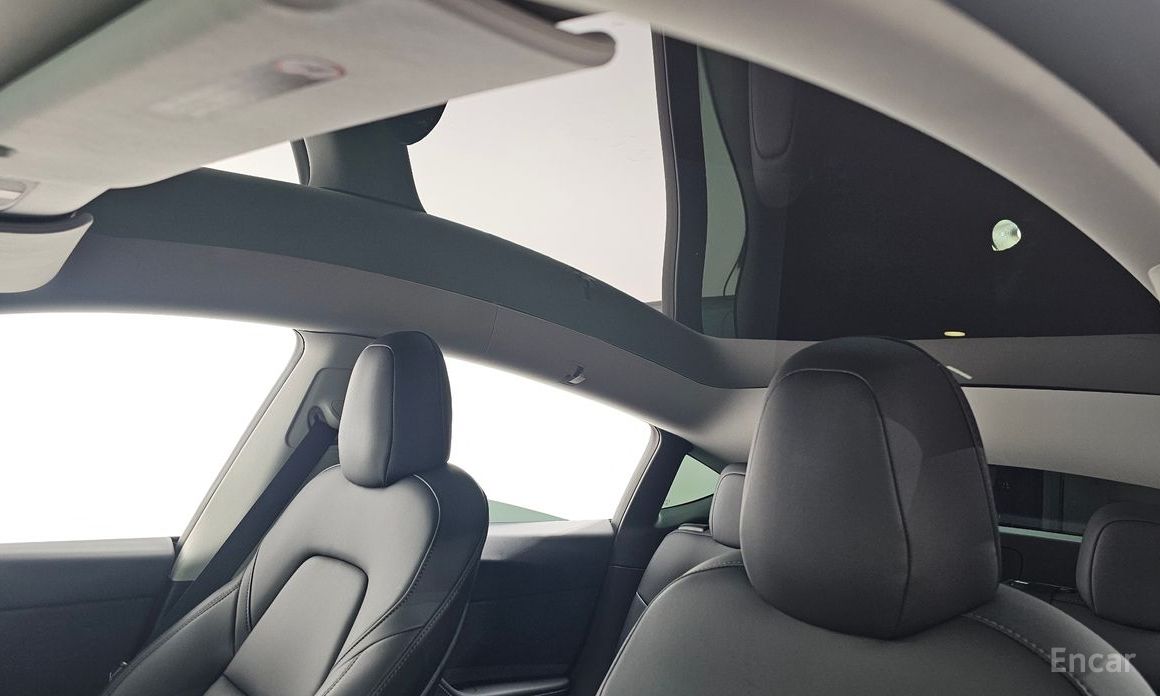 Model Y Long Range 20