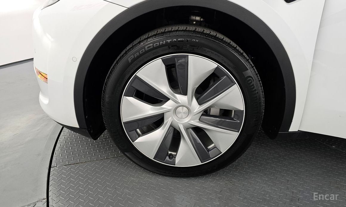 Model Y Long Range 6