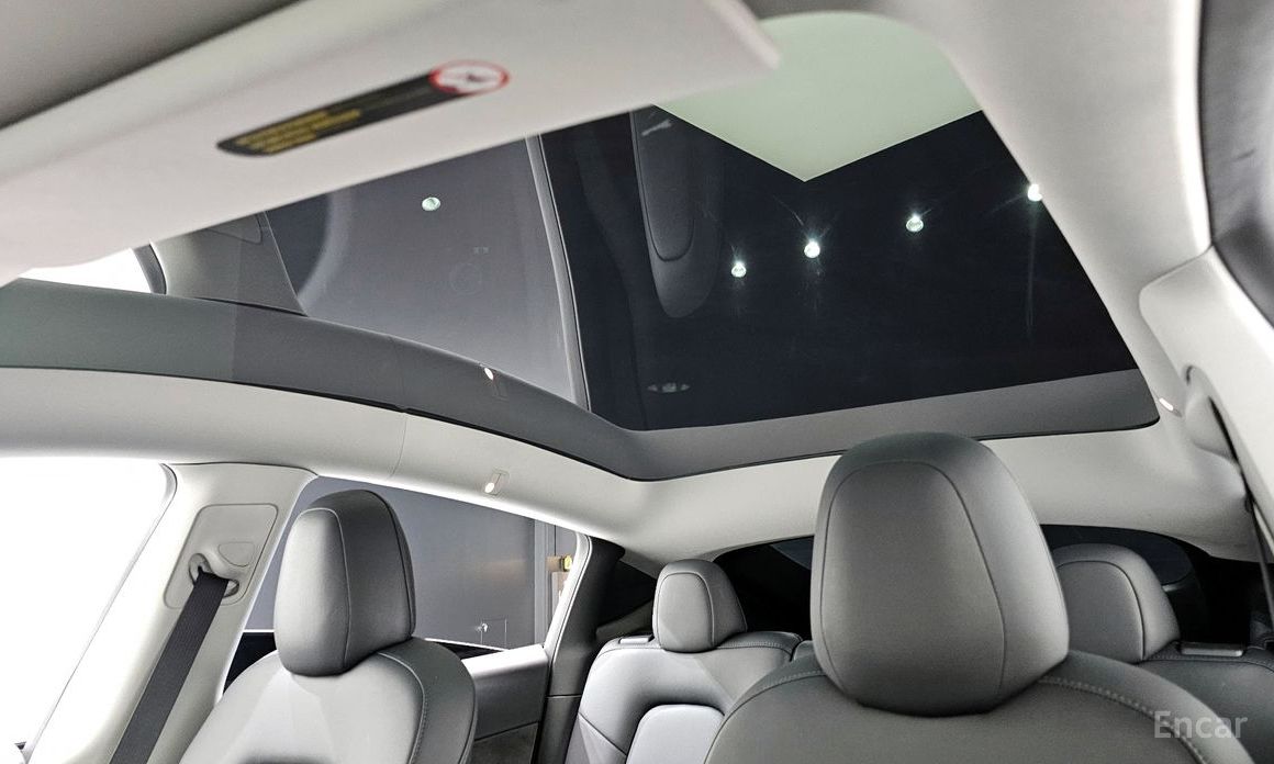 Model Y Long Range 19