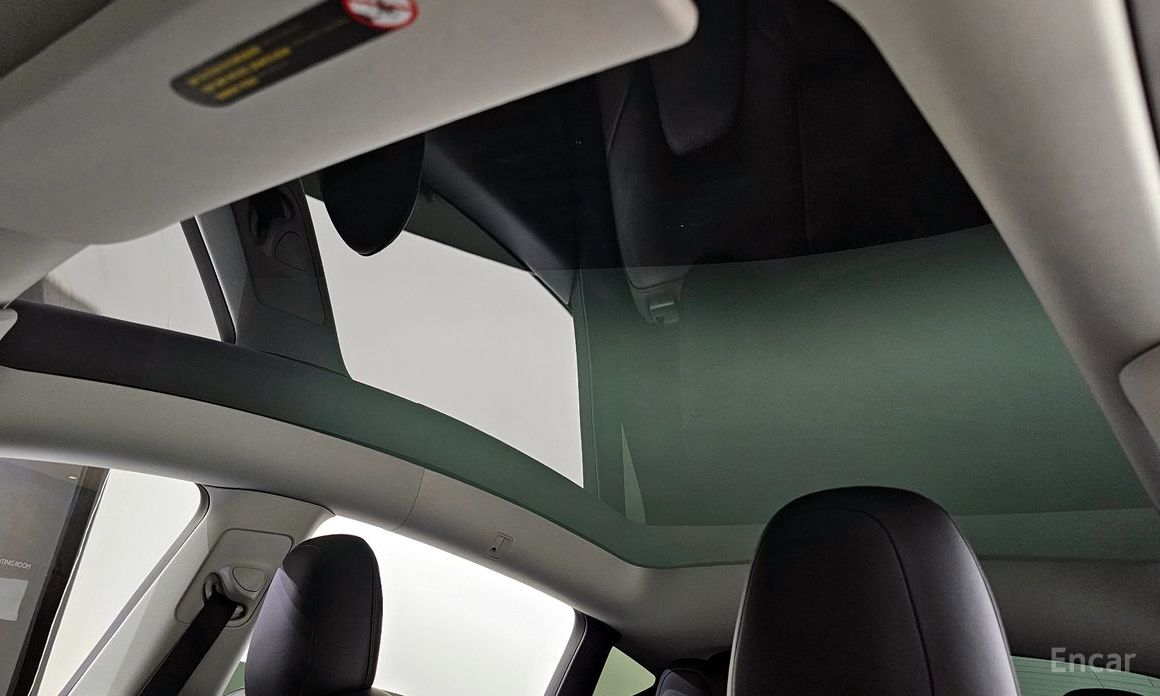 Model Y Long Range 21