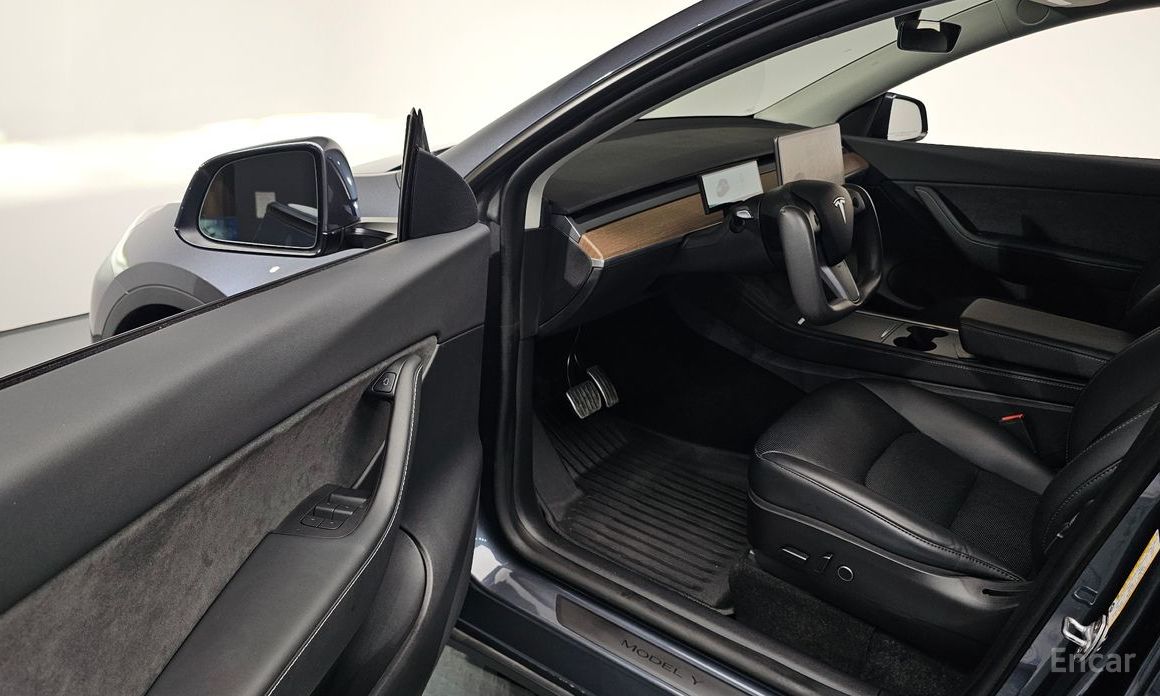 Model Y Long Range 12