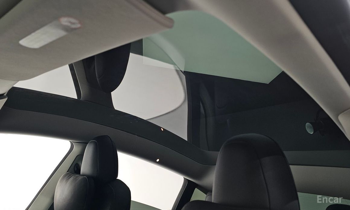 Model Y Long Range 20