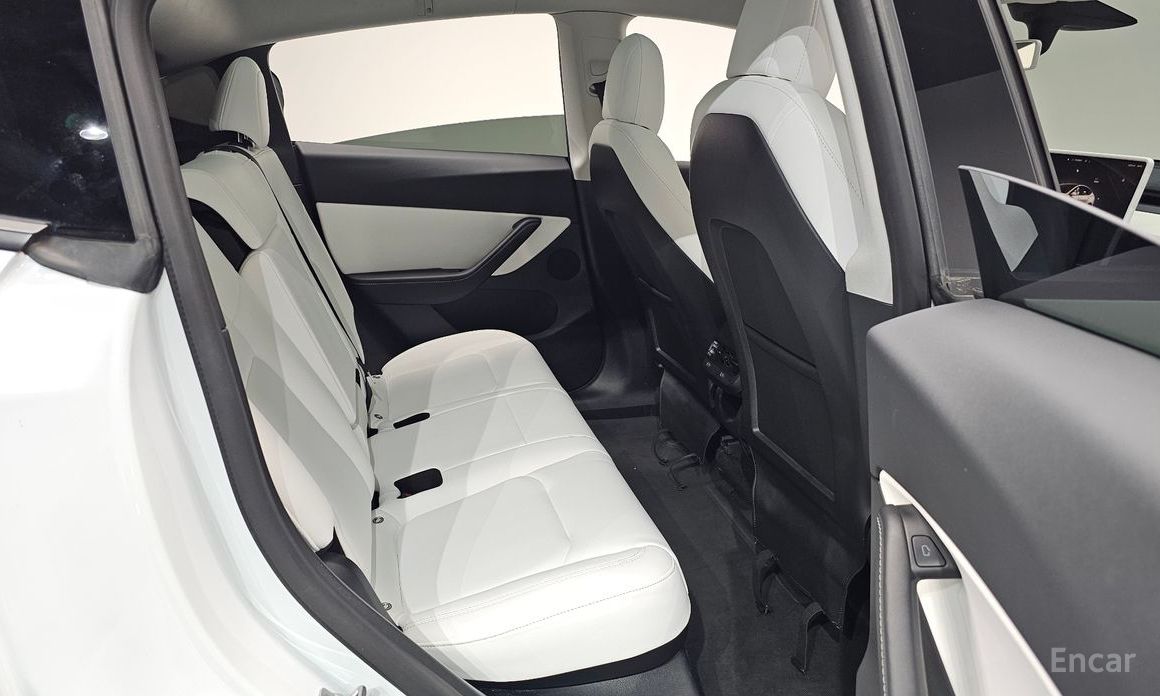 Model Y Long Range 12