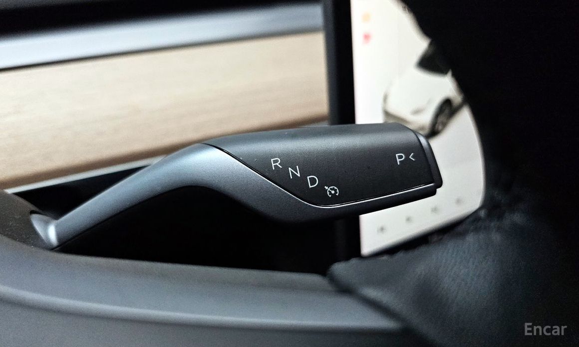 Model Y Long Range 10