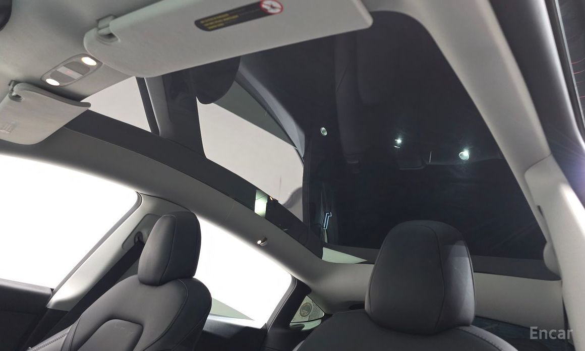 Model Y Long Range 19