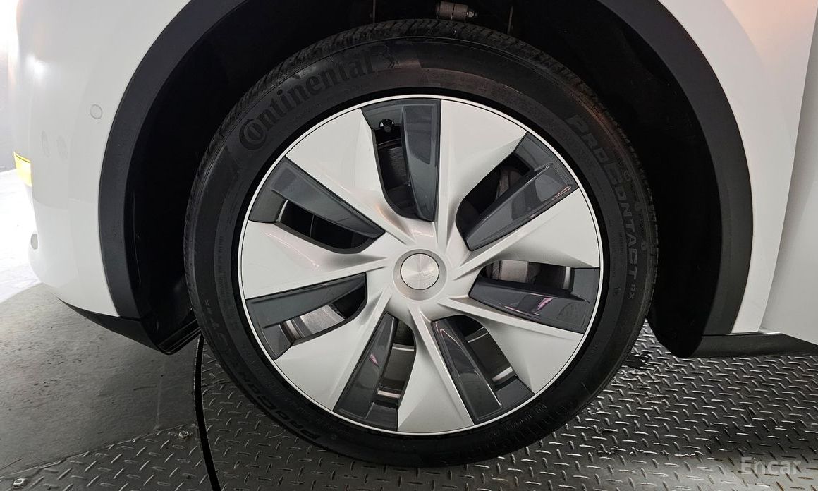 Model Y Long Range 6