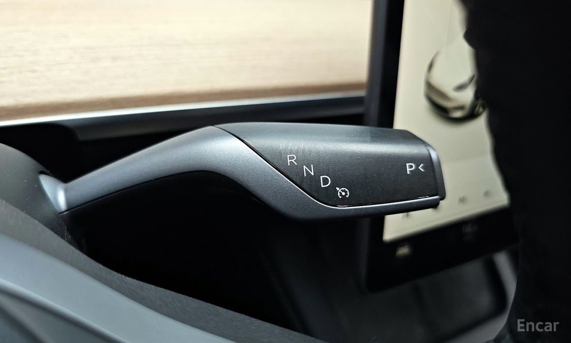 Model Y Long Range 10