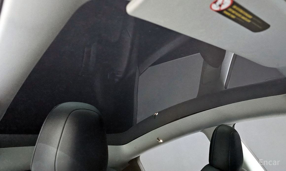Model Y Long Range 20
