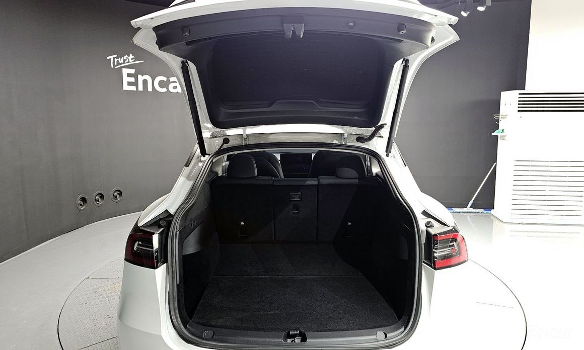 Model Y Long Range 21