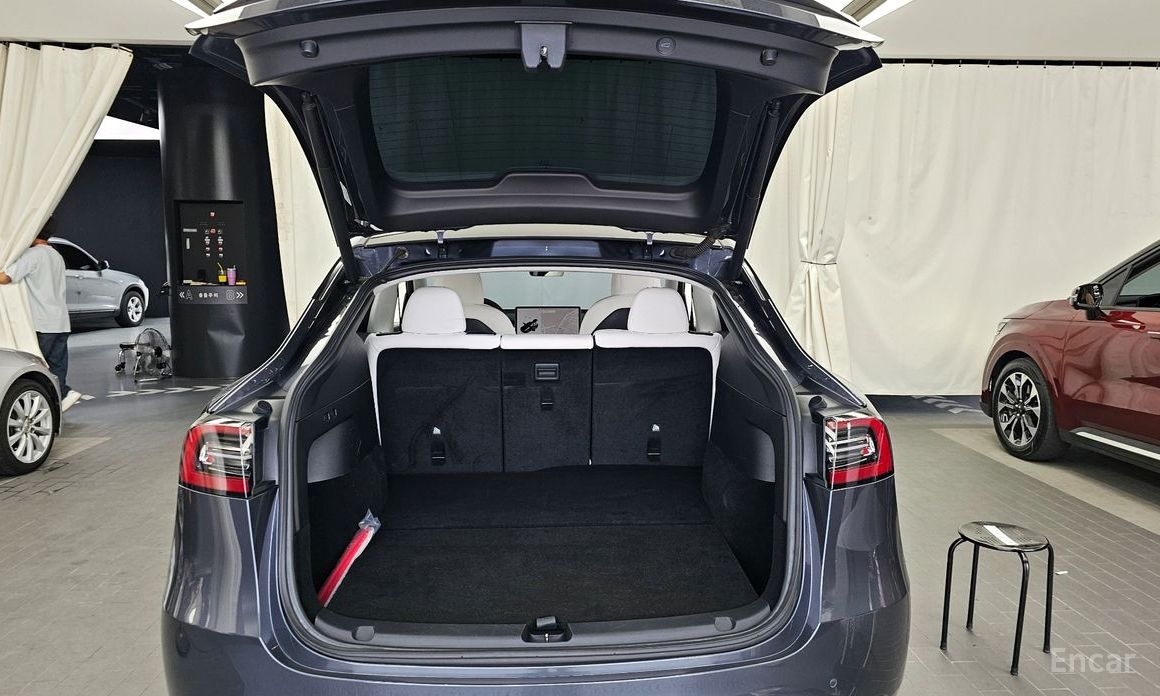 Tesla Model Y Long Range №21