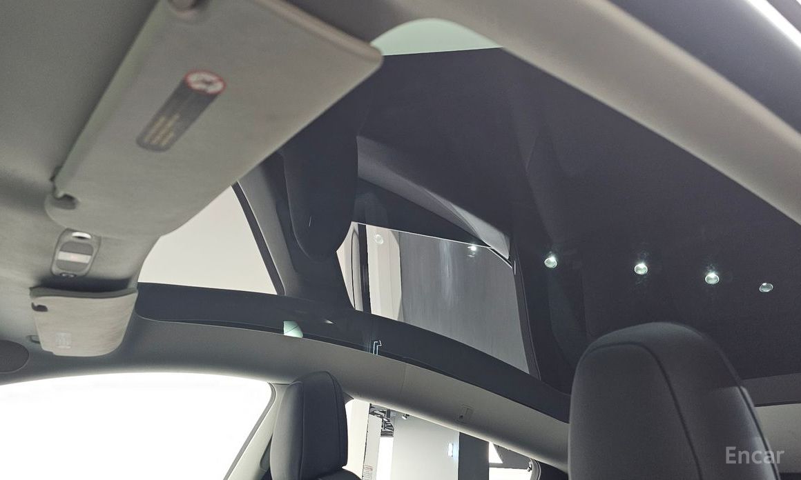 Model Y Long Range 20