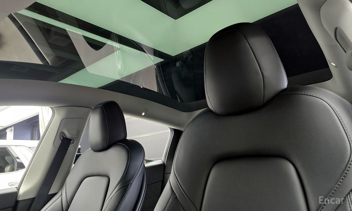 Model Y Long Range 19