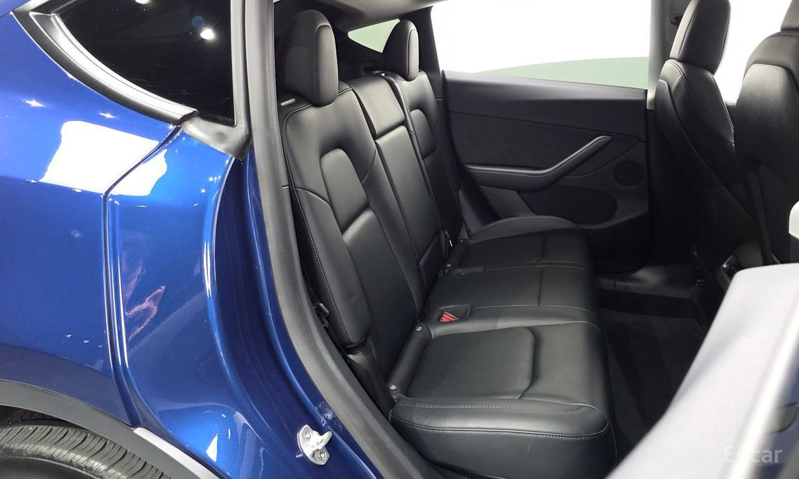 Model Y Long Range 12