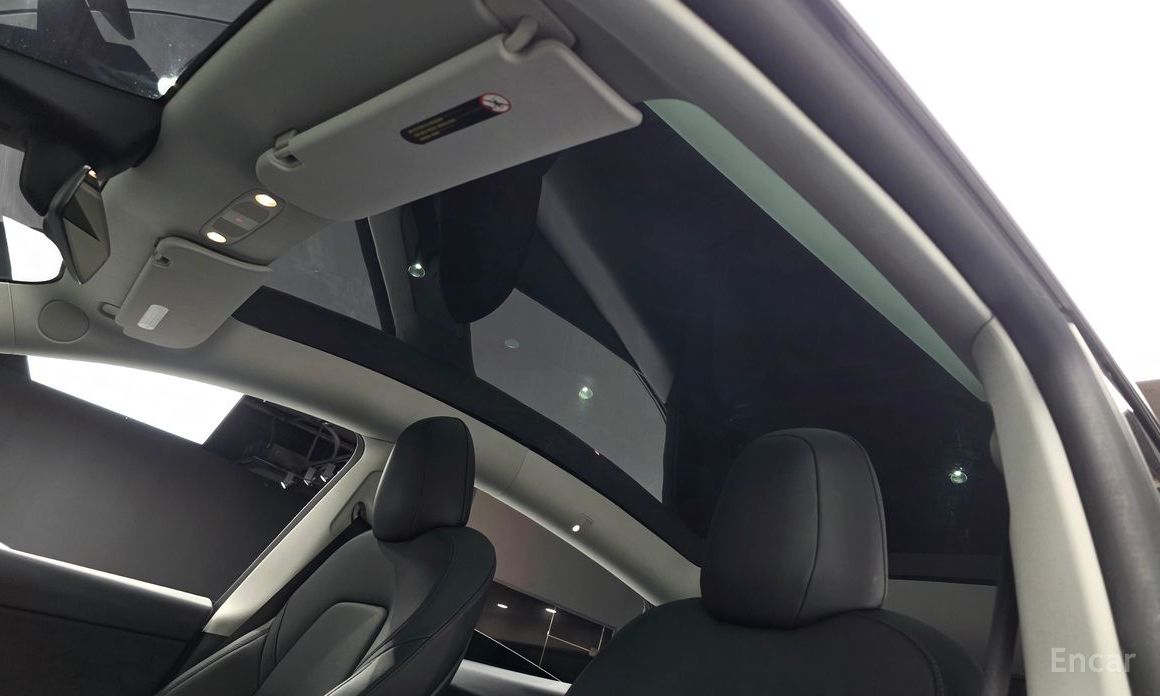 Model Y Long Range 19