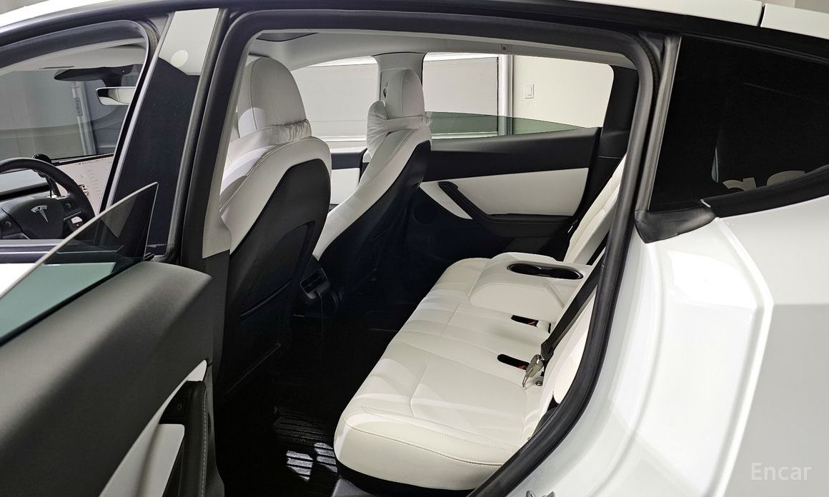 Model Y Long Range 12